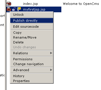 OpenCms NewJsp7.png
