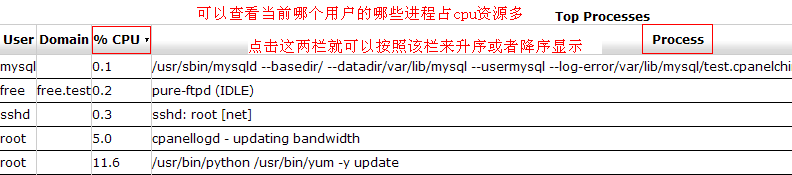 whm日常进程日志查看图示3