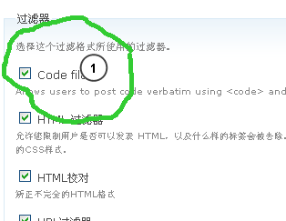 Drupal code filter 2.png